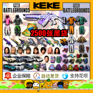 绝地求生PUBG美杜莎异色皮肤号2500张黑货卷G币工坊箱子马丁宝箱