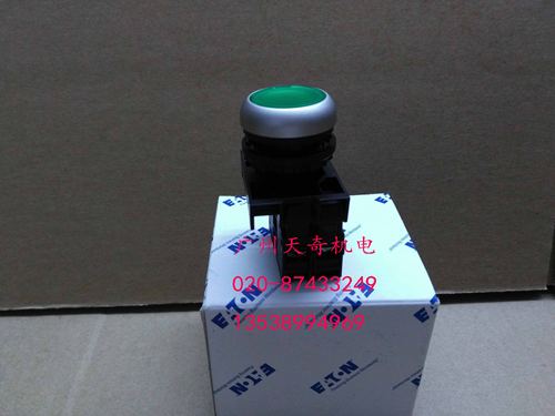带灯自锁按钮开关伊顿M22-DRL-G