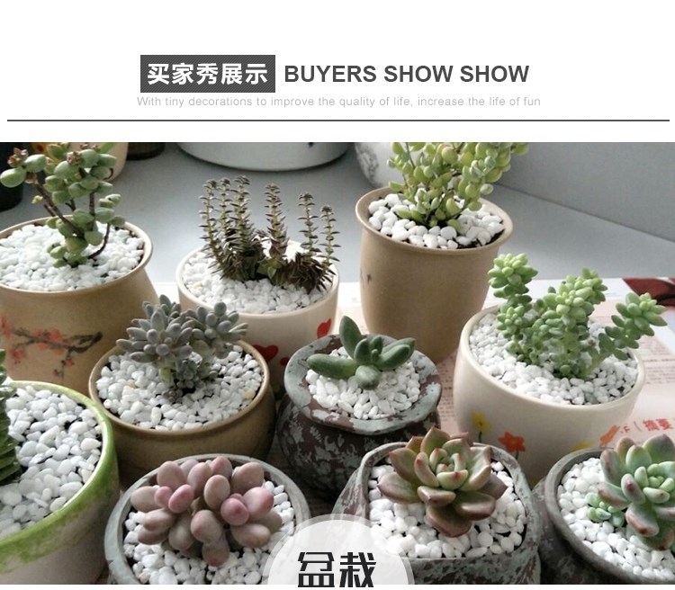 园艺铺面小颗粒大石栽大园艺鹅卵石小石头养鱼石子浴缸养多肉5斤|ruв категории доставка цветов/цветок моделирования/растения садоводства, садовых принадлежностей, других садовых принадлежностей - от Buy2taobao.com для оказания профессиональной услуги покупки агента Taobao