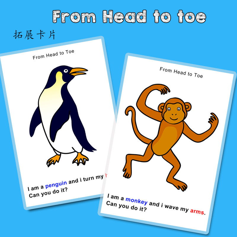 从头动到脚from head to toe艾瑞卡尔英文绘本拓卡片英语启蒙教具