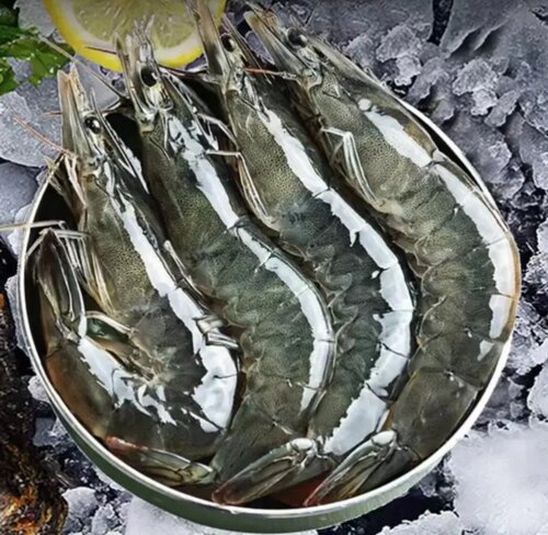 大虾新鲜盐冻海洋大虾