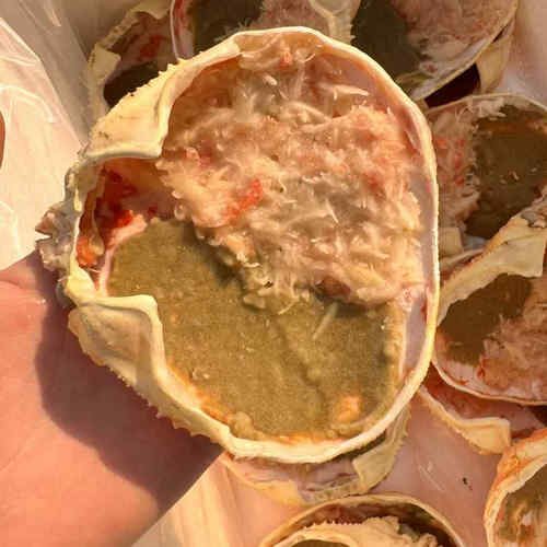 冷冻鳕蟹宝 芝士蟹肉 烤蟹肉 甲罗烧专用 半成品 10只装70克蟹宝