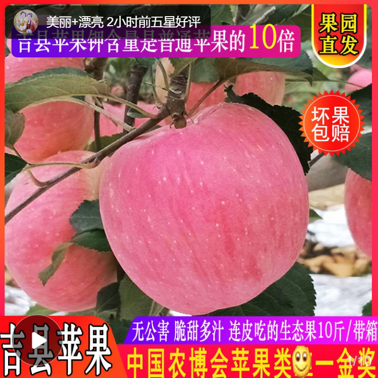 山西吉县红富士苹果新鲜整箱