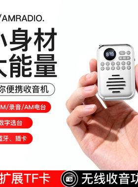 迷你便携收音机FM无线蓝牙音箱小身材大能量插卡TF播放器音响数字