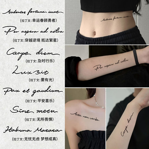 独角小怪兽拉丁文草本纹身贴防水女持久高级感英文字母男果汁贴纸