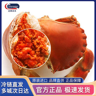 400g clearwater英国进口面包蟹600 熟冻即食特大螃蟹 199减50