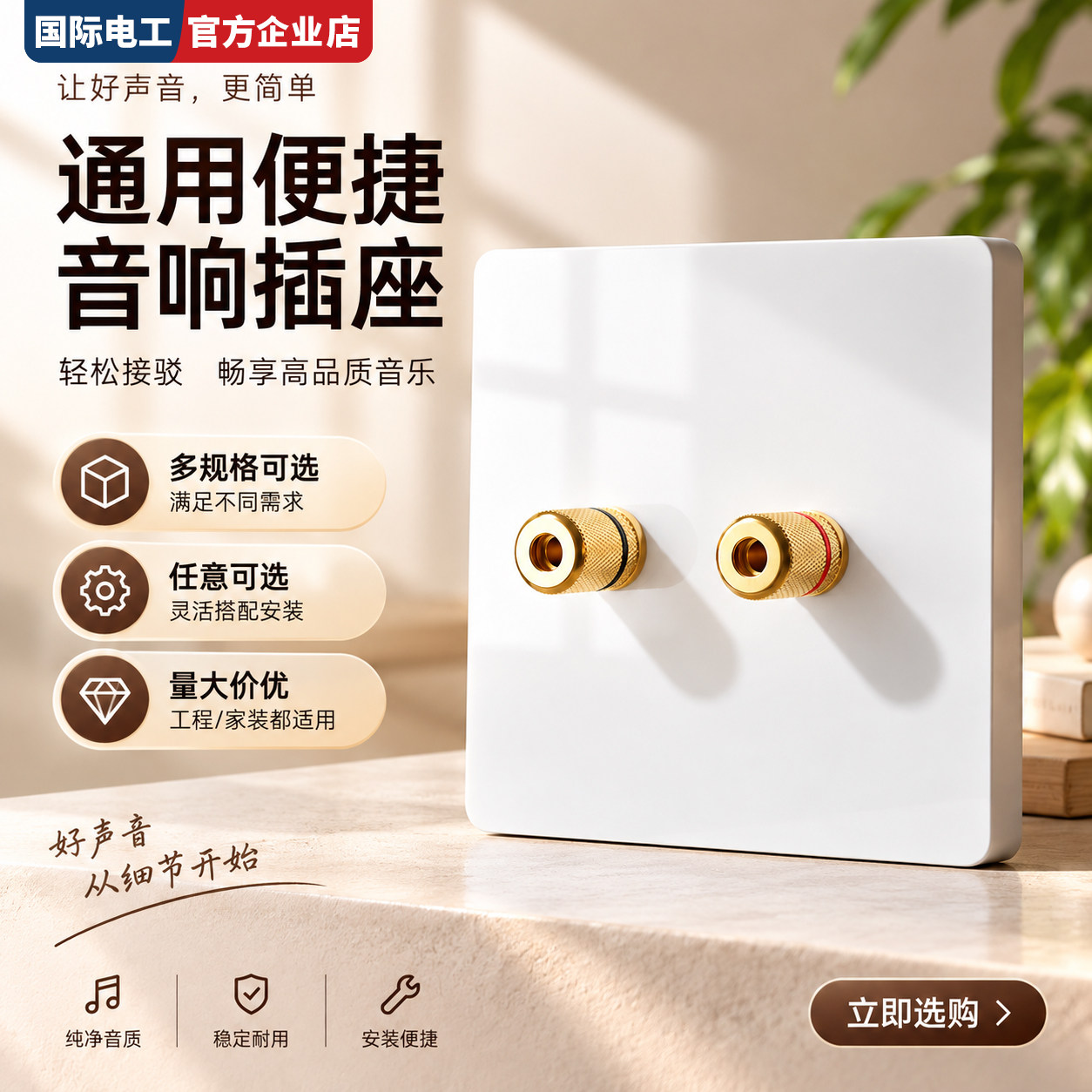 86型环绕音响插座面板家用家庭影院功放音箱喇叭线纯铜接线端子板