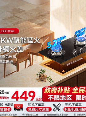 海信天燃气双炉灶具台嵌两用嵌入式大猛火以旧换新补贴DB31Pro