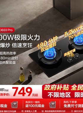 海信燃气灶天然气液化气灶具台嵌两用嵌入式双边定时猛火DB33Pro