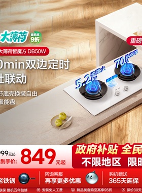 海信大薄荷系列双炉天燃气灶具台嵌入两用式以旧换新DB50W白色