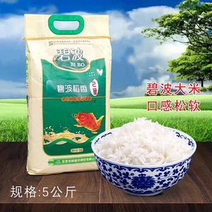 碧波五常大米稻香2号2025年新米上市10斤大米,家人都爱吃