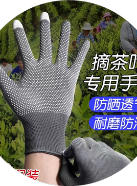 摘茶叶防晒女士快递分拣打包手套