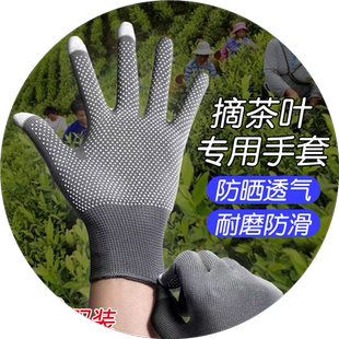 摘茶叶防晒女士快递员分拣打包搬货干活防滑农用采茶专用手套神器
