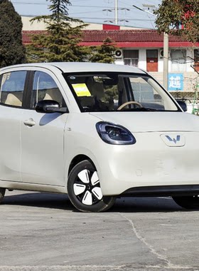 正品25款五菱宏光mini新能源汽车