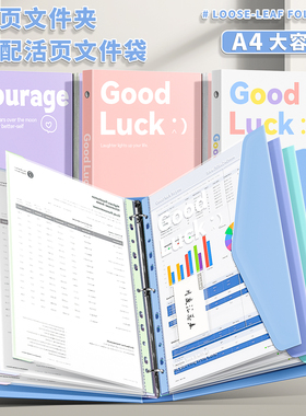 活页文件夹高颜值A4插页透明袋资料册试卷收纳检查收纳袋少女心学习资料整理资料夹孕检翻页收集册内置文件袋