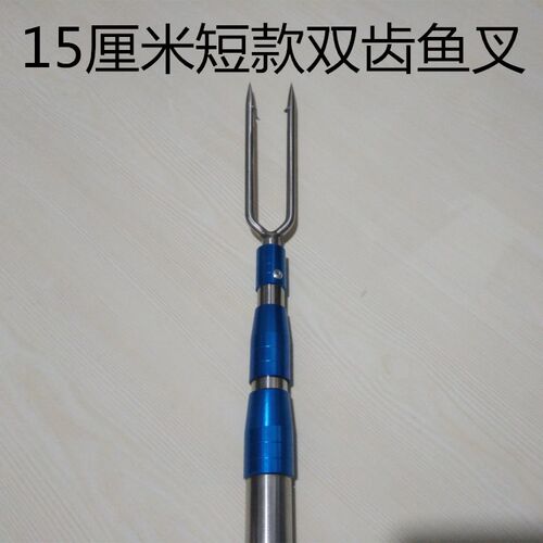 双齿鱼叉头两齿鱼叉海鳗鱼螃蟹