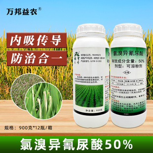 绿亨6号六号50%氯溴异氰尿酸杀菌剂农药水稻白叶枯病杀菌药农用药