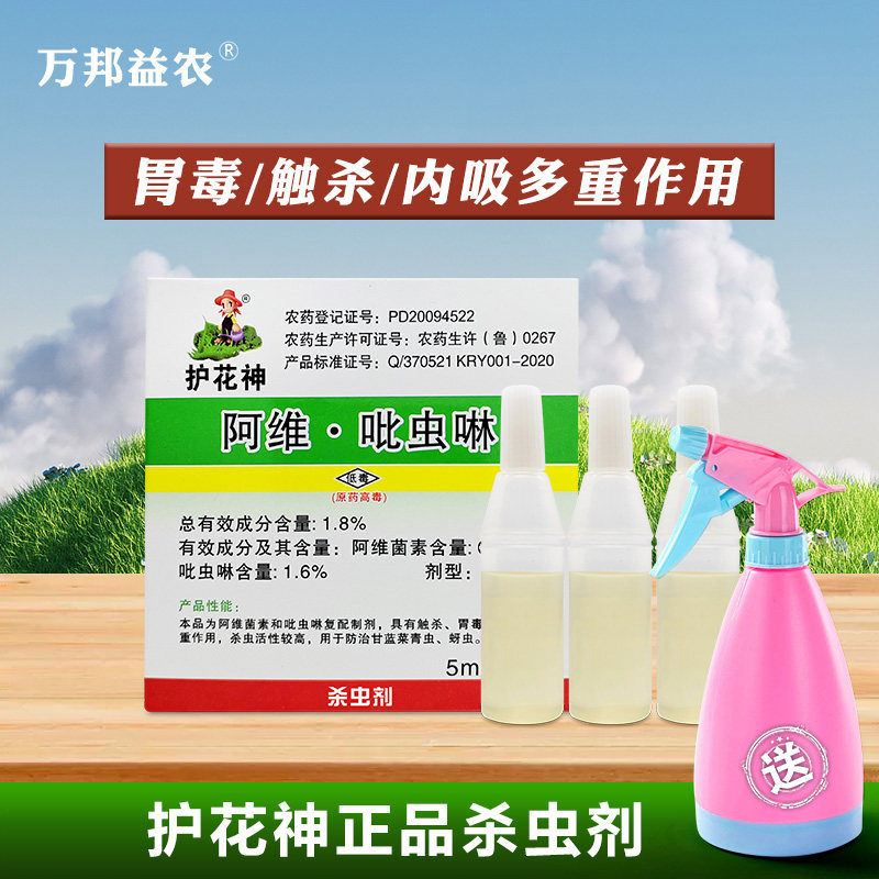 花卉多肉小黑飞吡虫啉