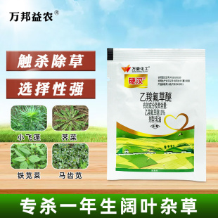 10%乙羧氟草醚除杂草农药大全春大豆田杀草剂铁苋菜马齿苋除草剂