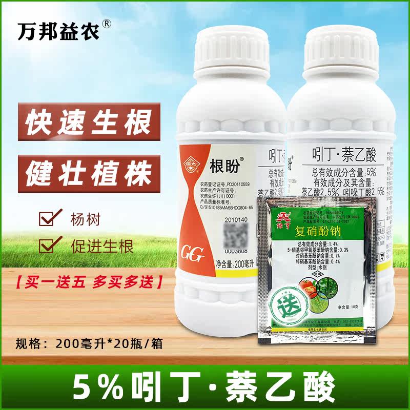 生根剂 国光根盼吲丁酸萘乙酸 苗木植物大树生长调节剂扦插生根液