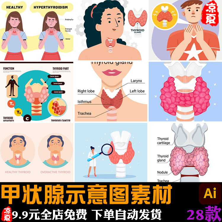 卡通甲状腺疾病治疗检查医学示意图插图插画ai矢量设计素材