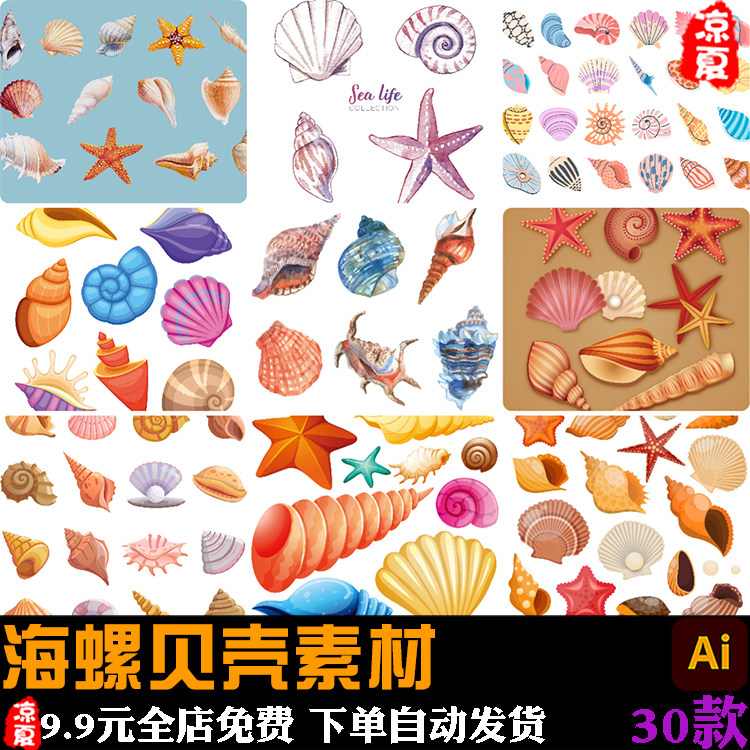 手绘贝壳海螺扇贝海洋简笔画水彩元素插画图片ai矢量设计素材