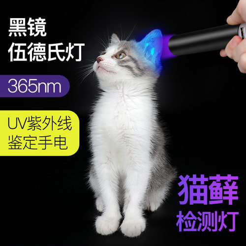 伍德氏灯紫外线猫藓灯宠物照猫尿灯紫光灯手电筒真菌检测荧光剂灯 - 封面