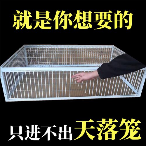 天落笼捕捉神器只进不出鸟室外鸽子笼加厚加密全自动收活络撞门