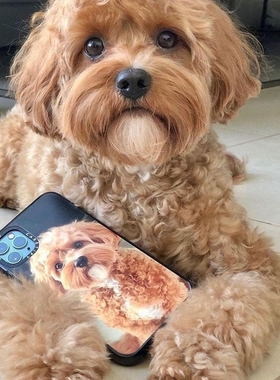 CASETiFY来图定制照片字母任意diy图片个性ins不撞壳适用苹果iPhone16/15/14/13/Pro/max磁吸小众防摔手机壳