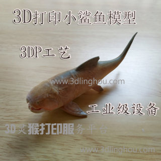 全彩3D打印定制小鲨鱼模型采用全彩石膏材料制作