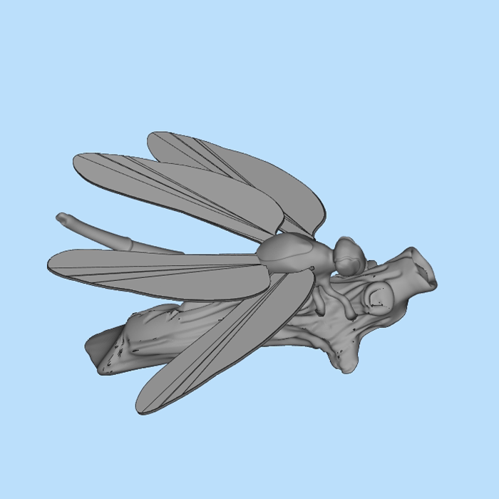 蜻蜓 01200904三维图纸(stl格式)