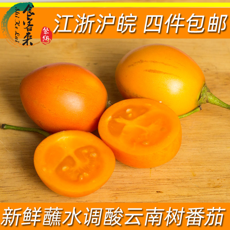 洋番茄果云南树番茄蔬菜