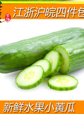 水果小黄瓜新鲜沙拉黄瓜