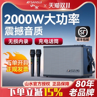 山水SS190 Pro音响户外K歌乐器音率广场舞带话筒带声卡直播箱大功