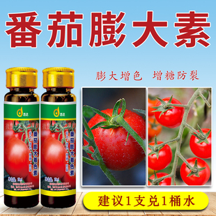 防裂着色剂西红柿专用快速膨大催红增甜叶面肥料 番茄膨大素正品
