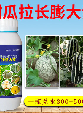 甜瓜拉长膨大剂哈密瓜博洋绿宝石羊角蜜专用膨大素增甜剂叶面肥料
