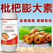 枇杷膨大素增甜剂枇杷果专用增产膨果上色氨基酸微量元 素叶面肥料