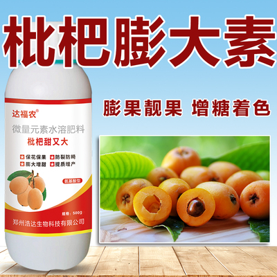 枇杷膨大素增甜剂枇杷果专用增产膨果上色氨基酸微量元素叶面肥料