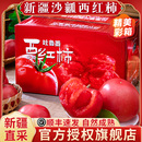 新疆沙瓤西红柿新鲜自然熟孕妇水果普罗旺斯草莓番茄 顺丰速运
