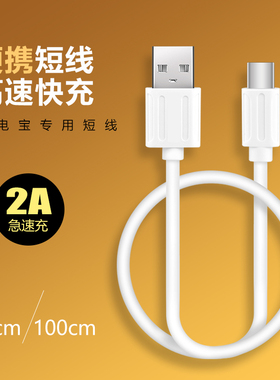 便携25厘米适用iphone乐视Type-C安卓V8过2A快速充电宝短线快充线