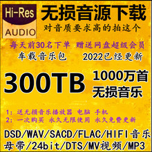 flac 5.1声道车载mv视频mp3下载 DSD无损音源HIFI音乐包wav dts