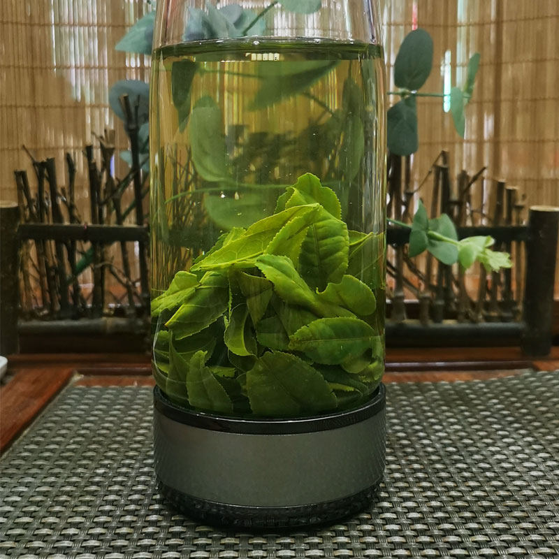2026新茶雨前瓜片栗香茶叶