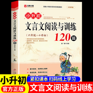 小升初文言文阅读与训练120篇配套人教版小学生必背古诗词和文言文全解一本通初中2025六年级总复习2026小学语文课外阅读专项训练