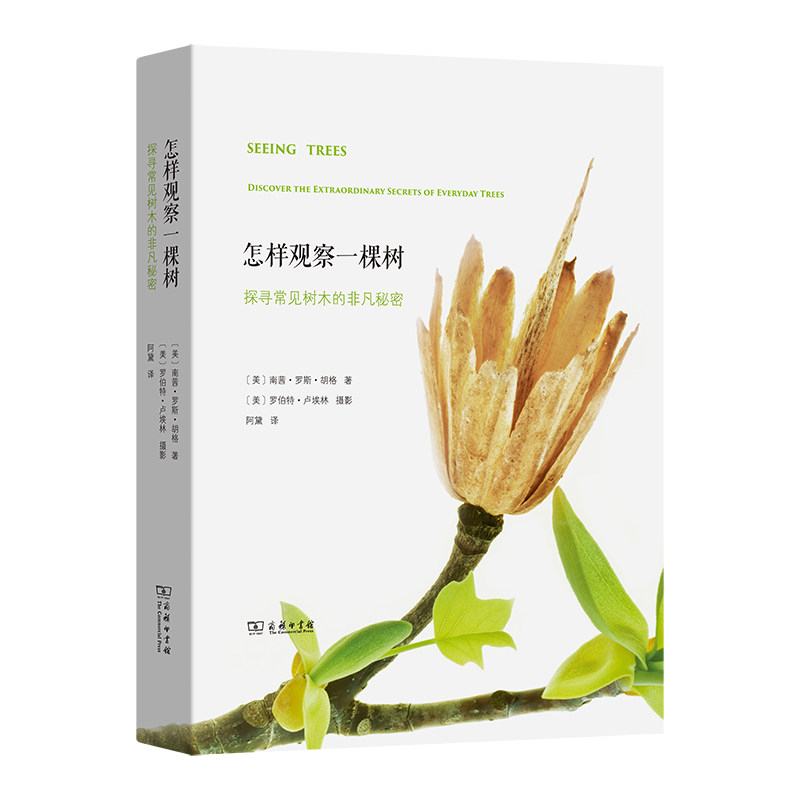 怎样观察一棵树:探寻常见树木的非凡秘密