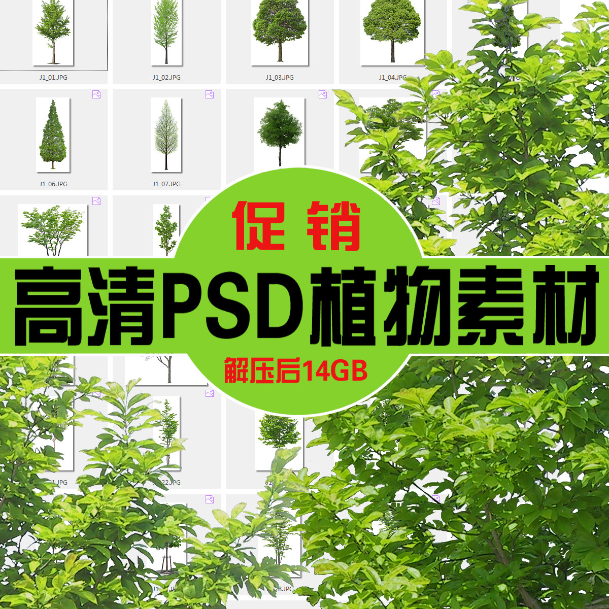 gqzw1园林景观psd素材设计效果图树木植物素材库图片后期ps分层