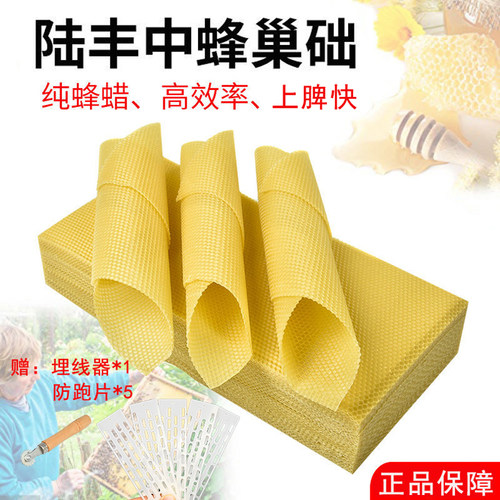 陆丰纯蜂蜡巢础巢脾中蜂深房巢基