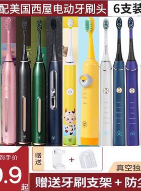 适用美国西屋电动牙刷头301b/p/w/501w/301G/F/504Y/G/L/608/505