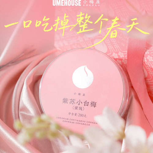 小梅屋紫苏小白梅200g解馋零食