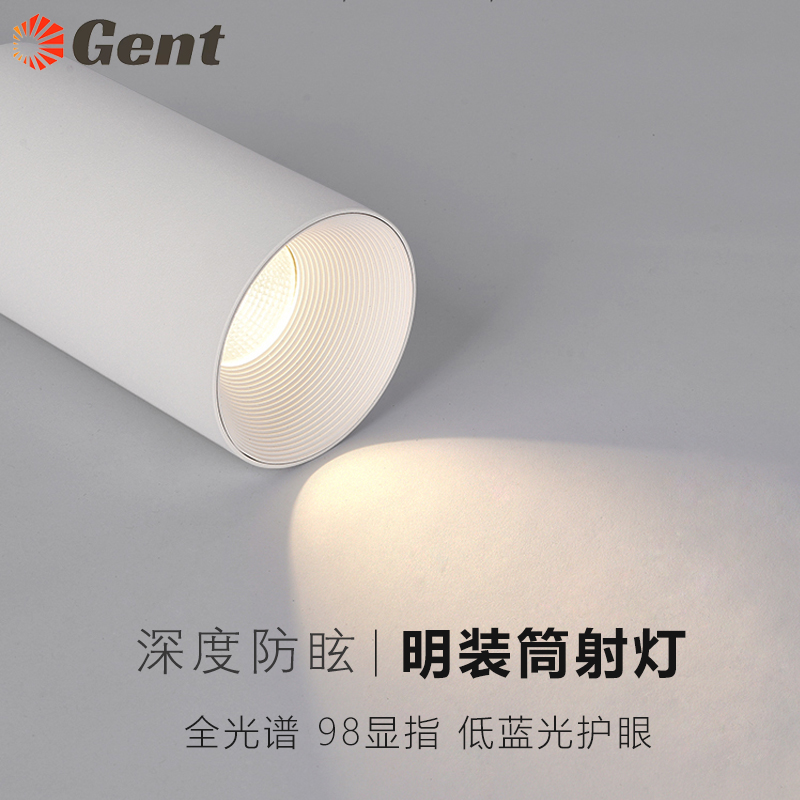 已接入米家智能明装射灯