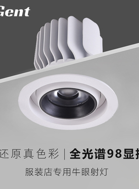嵌入式射灯可旋转调节牛眼灯服装店商场无频闪30W高显色防眩孔灯